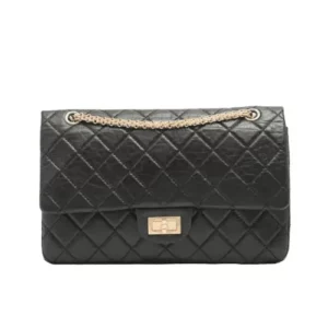 ALLU Chanel bag