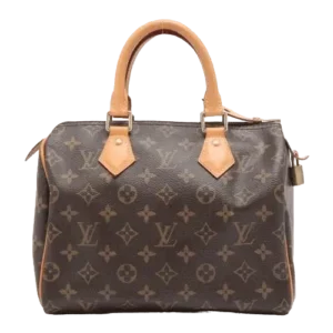 Louis Vuitton ALLU buyer